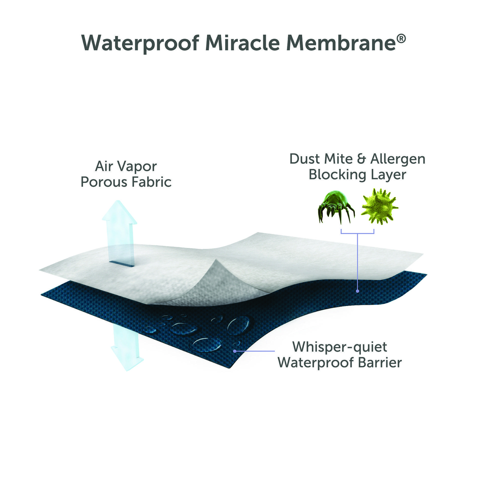 Premium-Deluxe-Pillow-Protector-Pic-3